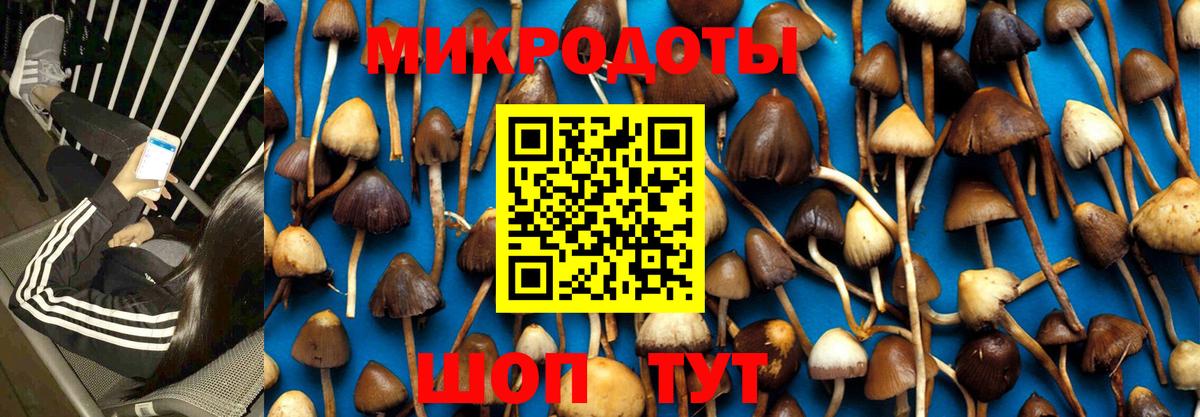 Галлюциногенные грибы MAGIC MUSHROOMS  Псилоцибиновые грибы Magic Shrooms  Вход с VPN  Михайловск 