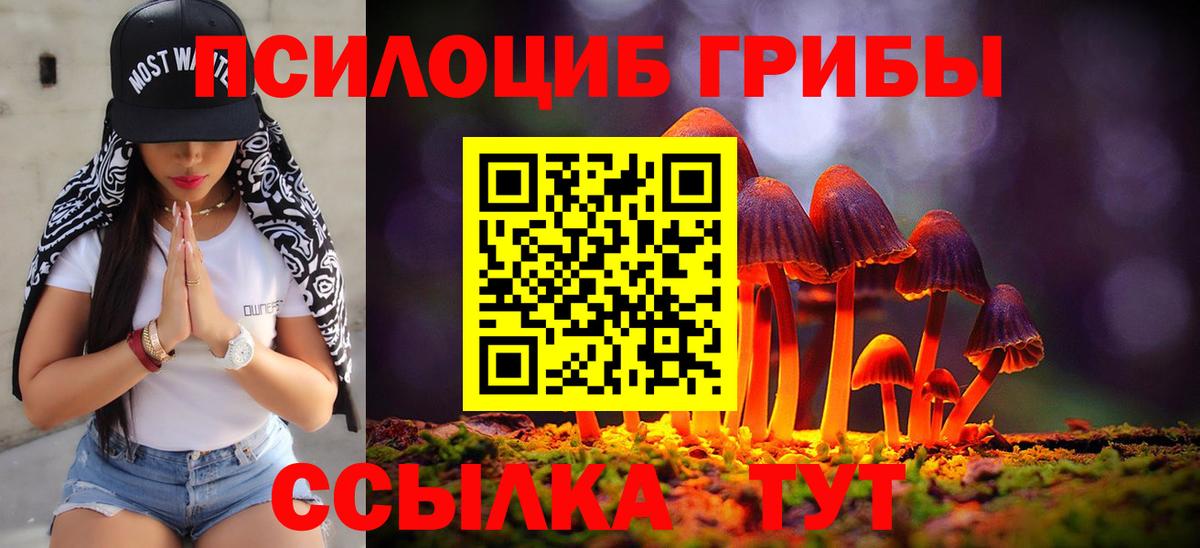 Псилоцибиновые грибы GOLDEN TEACHER Михайловск