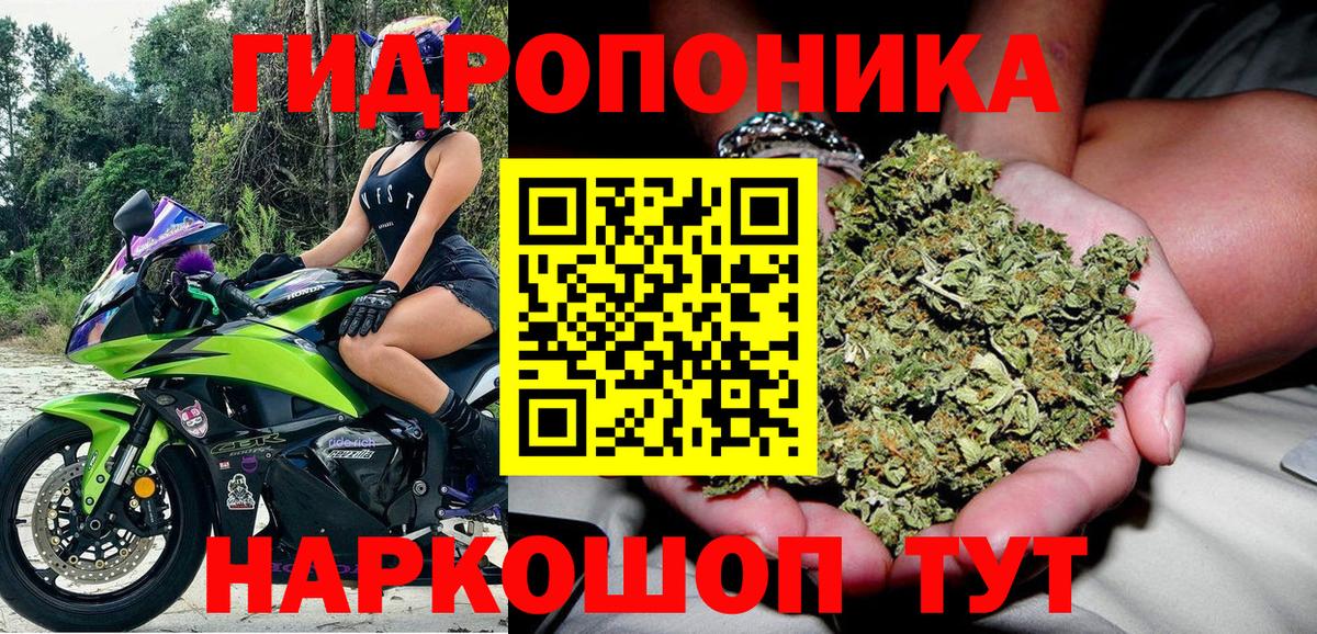Каннабис сатива Михайловск